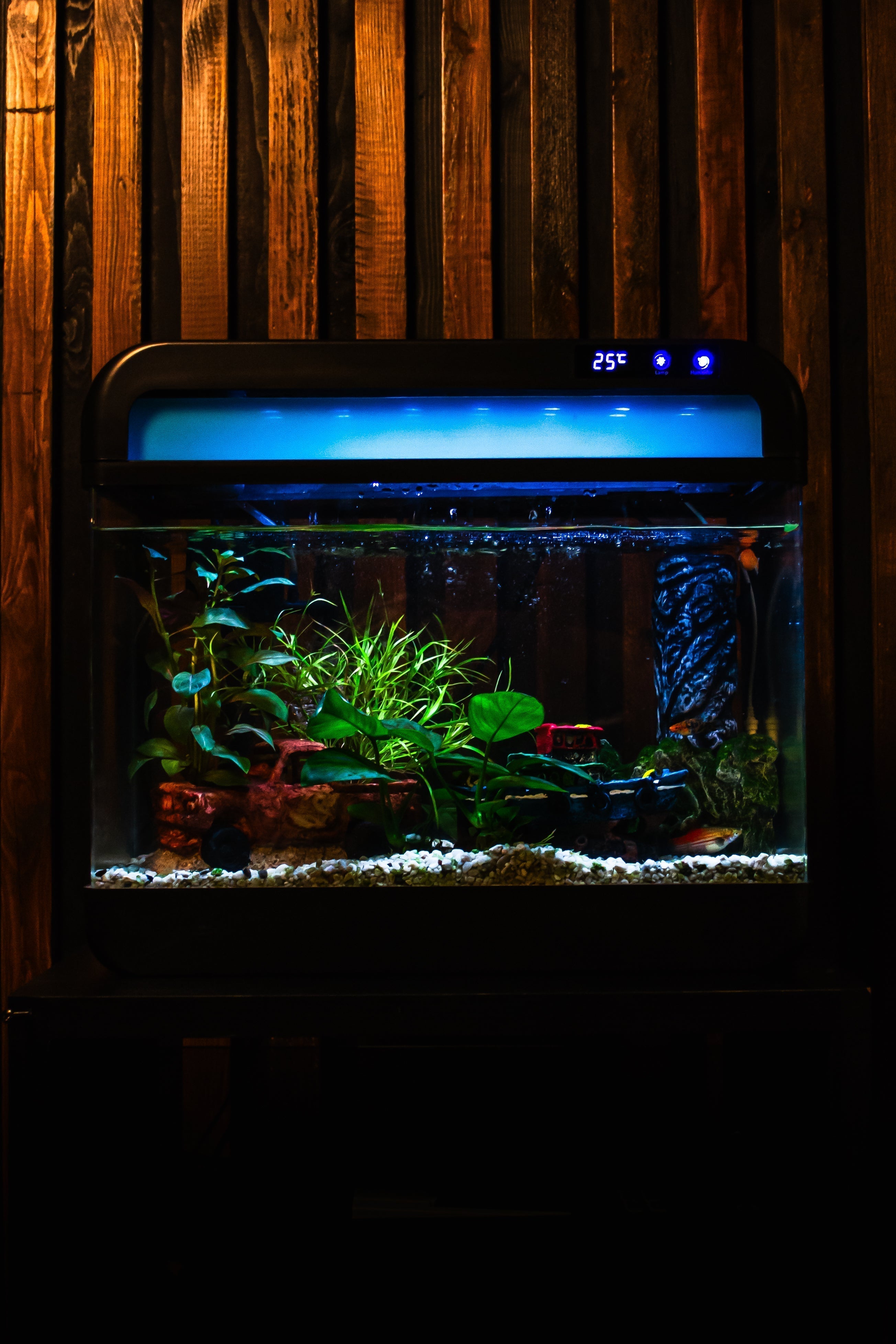 Nano aquarium kopen compleet met filter en LED verlichting