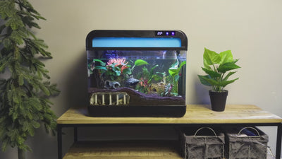 Sfeervolle video-impressie van het AquaImpact® 26L Nano Aquarium in actie, met focus op het unieke mist-effect, de heldere LED-verlichting en het moderne design in een rustgevend interieur.